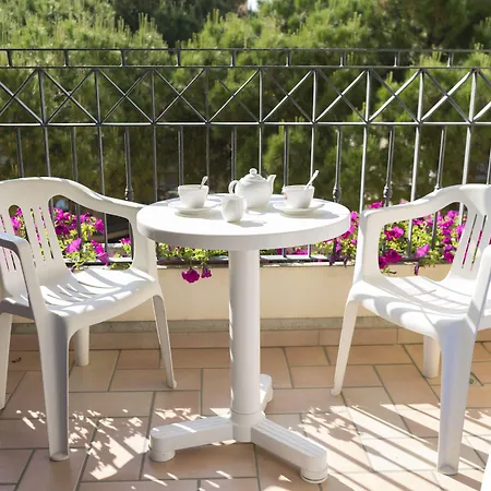 Vanni Hotel Misano Adriatico