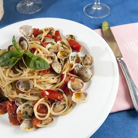 Vanni Hotel Misano Adriatico